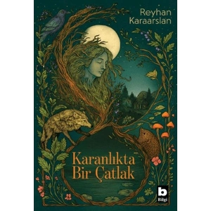 Karanlıkta Bir Çatlak