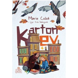 Karton Ev
