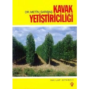 Kavak Yetiştiriciliği