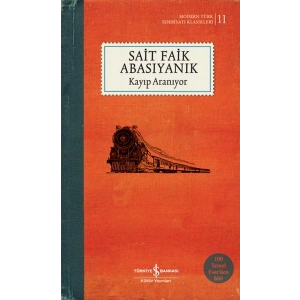 Kayıp Aranıyor (Şömizli)