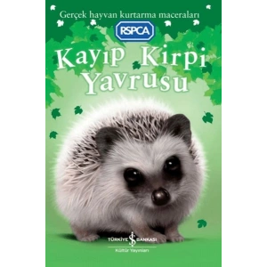 Kayıp Kirpi Yavrusu