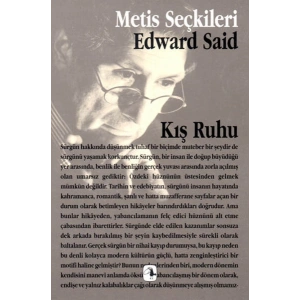 Kış Ruhu