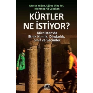 Kürtler Ne İstiyor?  Kürdistan’da Etnik Kimlik, Dindarlık, Sınıf ve Seçimler