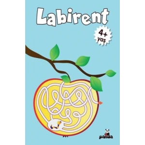 Labirent 4 Yaş