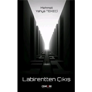 Labirentten Çıkış