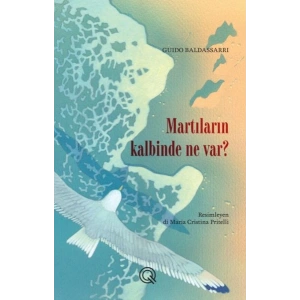 Martıların Kalbinde Ne Var?