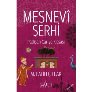 Mesnevi Şerhi