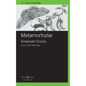 Metamorfozlar