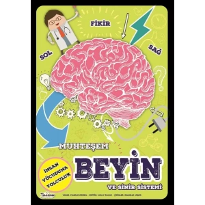 Muhteşem Beyin Ve Sinir Sistemi