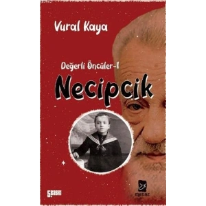 Necipcik