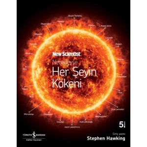 Neredeyse Her Şeyin Kökeni