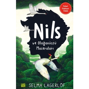 Nils ve Olağanüstü Maceraları