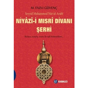 Niyazi-i Mısri Divanı Şerhi