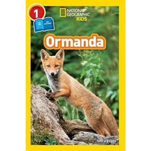 Ormanda - Seviye 1