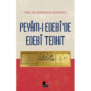 Peyamı Edebide Edebi Tenkit