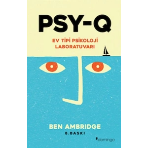 PSY-Q - Ev Tipi Psikoloji Laboratuvarı