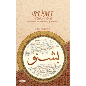 Rumi In Other Words Introduction to Commentaries of Mathnawi