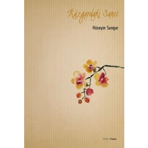 Rüzgardaki Sancı