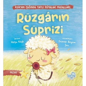 Rüzgarın Sürprizi