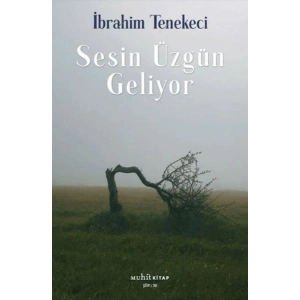 Sesin Üzgün Geliyor