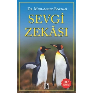 Sevgi Zekâsı