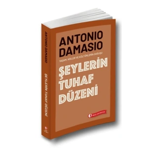 Şeylerin Tuhaf Düzeni