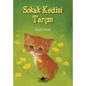 Sokak Kedisi Tarçın