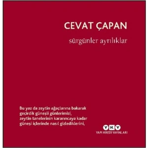 Sürgünler Ayrılıklar