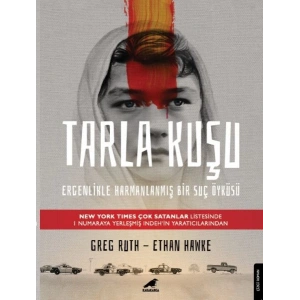 Tarla Kuşu