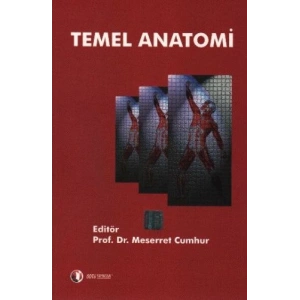 Temel Anatomi