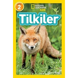 Tilkiler - Seviye 2
