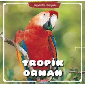 Tropik Orman - Hayvanlar Dünyası