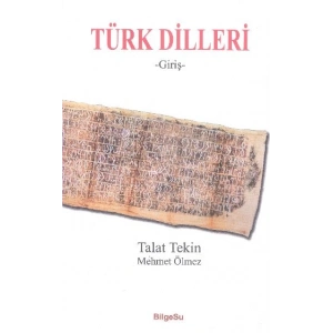 Türk Dilleri