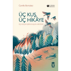 Üç Kuş, Üç Hikâye