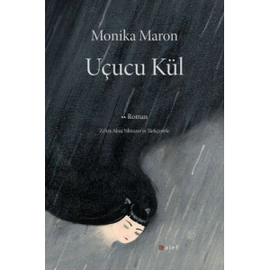 Uçucu Kül
