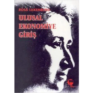 Ulusal Ekonomiye Giriş