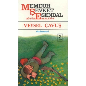 Veysel Çavuş