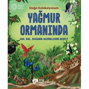 Yağmur Ormanında