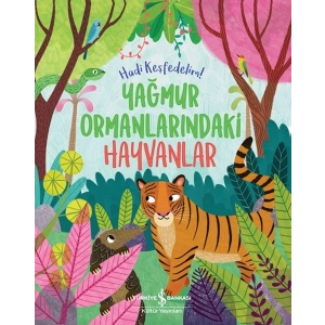 Yağmur Ormanlarındaki Hayvanlar – Hadi Keşfedelim!