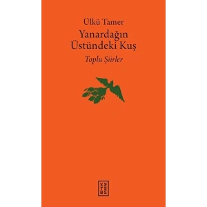Yanardağın Üstündeki Kuş