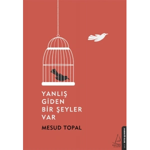 Yanlış Giden Bir Şeyler Var