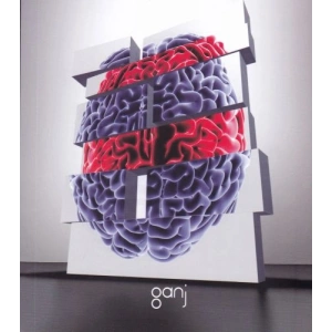 Yaşam Üzerine Yorumlamalar Cilt 2