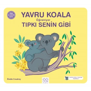 Yavru Koala Öğreniyor Tıpkı Senin Gibi