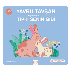 Yavru Tavşan Öğreniyor Tıpkı Senin Gibi