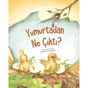 Yumurtadan Ne Çıktı?