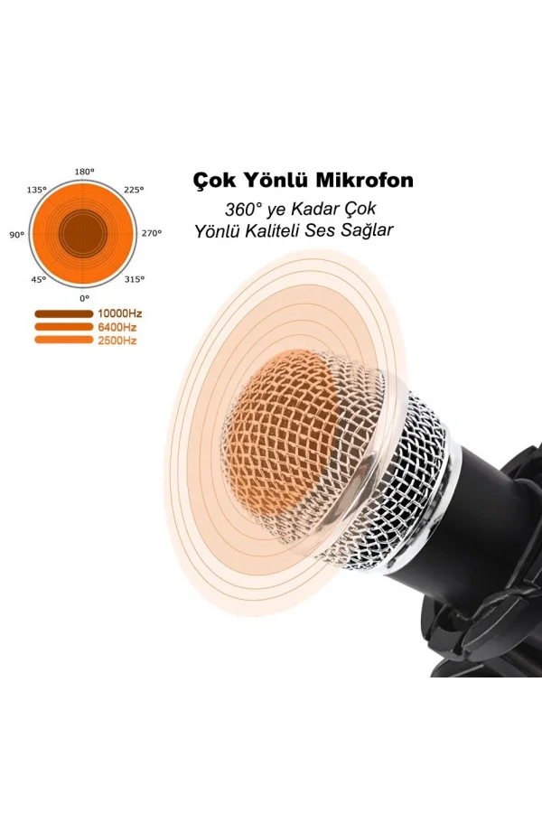 DailyTech Kareoke Kondenser Mikrofon Telefon Ve Bilgisayar Uyumlu