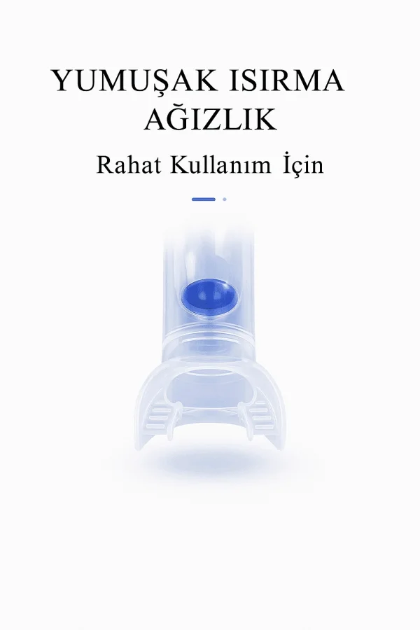 DailyTech Yetişkin Yüzme Antrenman Şnorkeli Mavi