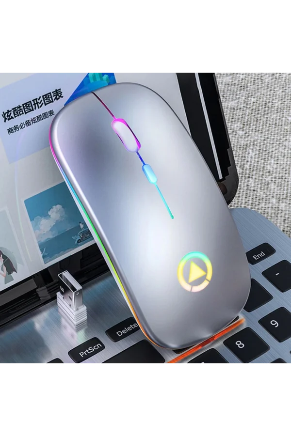 DailyTech Şarj Edilebilir Kablosuz Led Işıklı Sessiz Optic Mouse - GÜMÜŞ GRİ