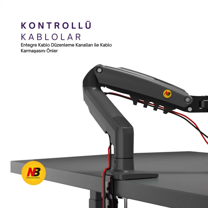 DailyLink NB F80 Tek Kol Amortisörlü Monitör Tutucu