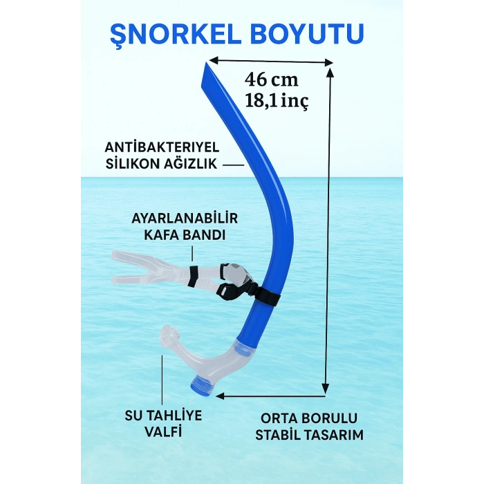 DailyTech Yetişkin Yüzme Antrenman Şnorkeli Mavi
